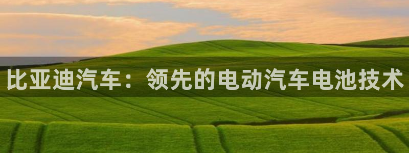 优发国际手机版客户端下载安装