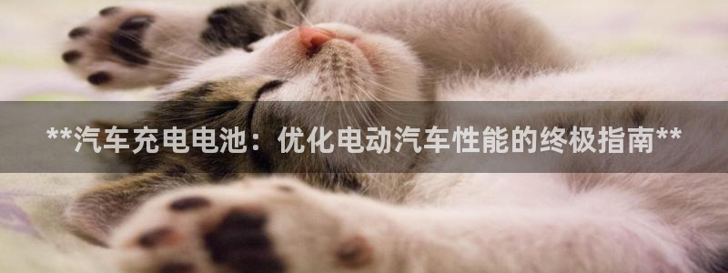 优发国际提现不了