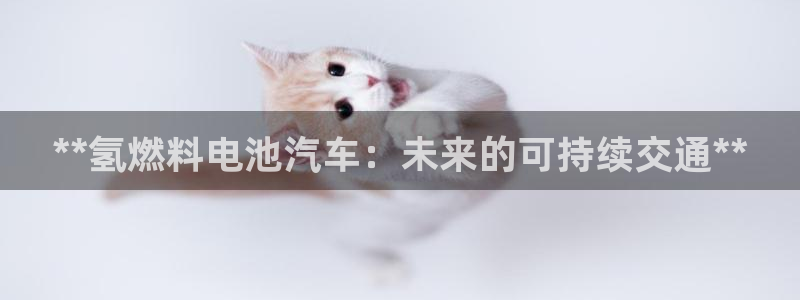 优发国际是什么