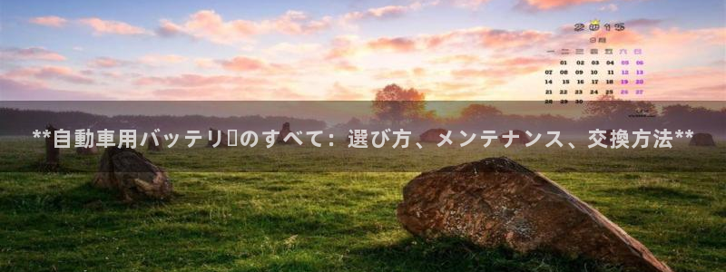 优发国际手机版客户端下载