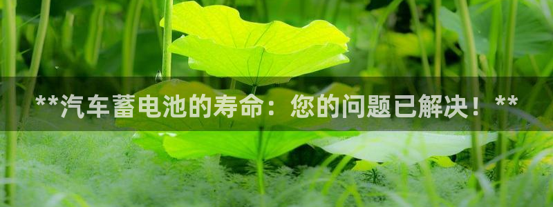 优发国际手机客户端下载不了