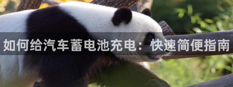 优发国际注册平台