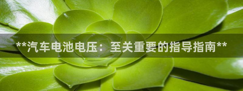 优发国际平台18岁能做吗