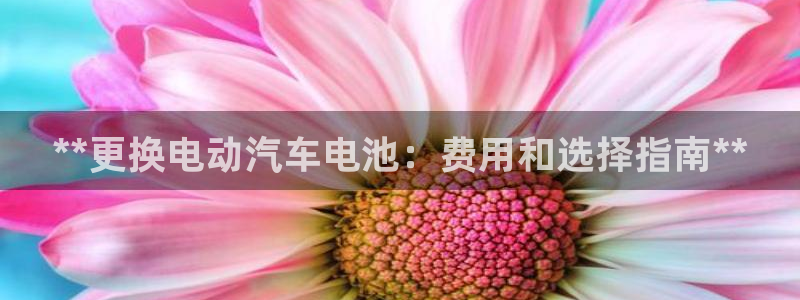 优发国际提现不了