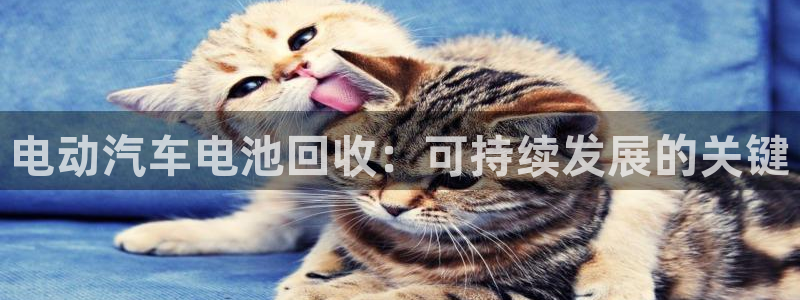 优发国际官网登录