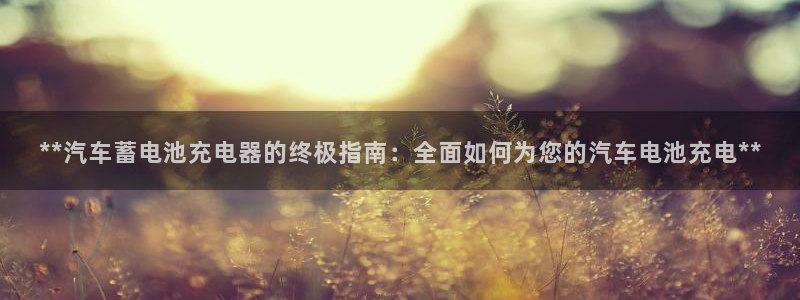 优发国际集团股份有限公司官网