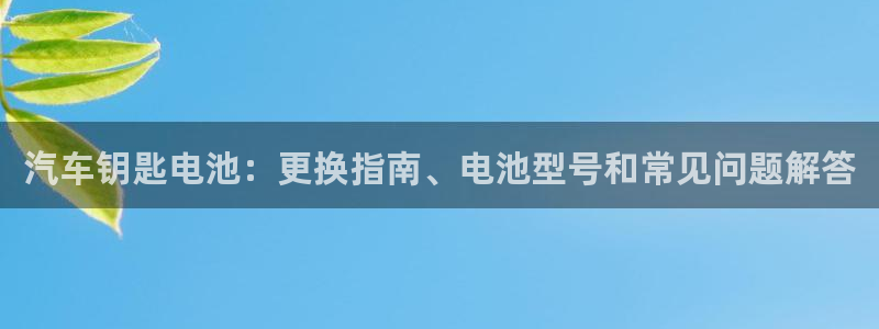优发国际官网下载苹果版：汽车钥匙电池：更换指南、电池型号和常见问题解答