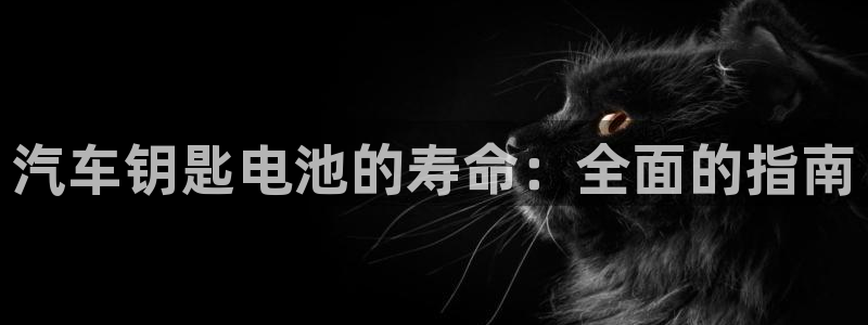 优发国际手机app下载安装