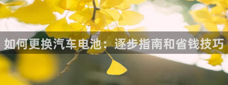 优发国际官网