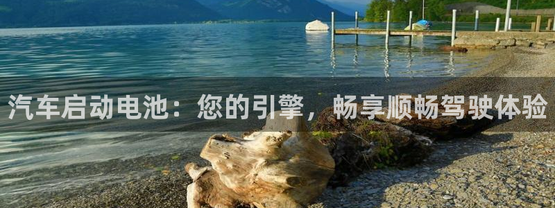 优发国际安卓版下载安装
