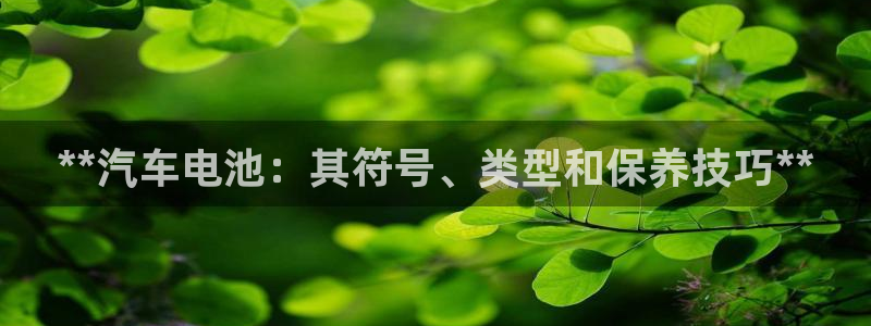 优发国际集团股份有限公司官网