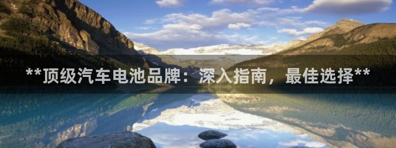 优发国际手机客户端下载官网：**顶级汽车电池品牌：深入指南，最佳选择**