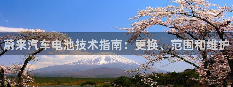 优发国际是大平台吗还是小平