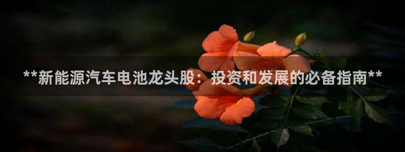 优发国际注册平台官网