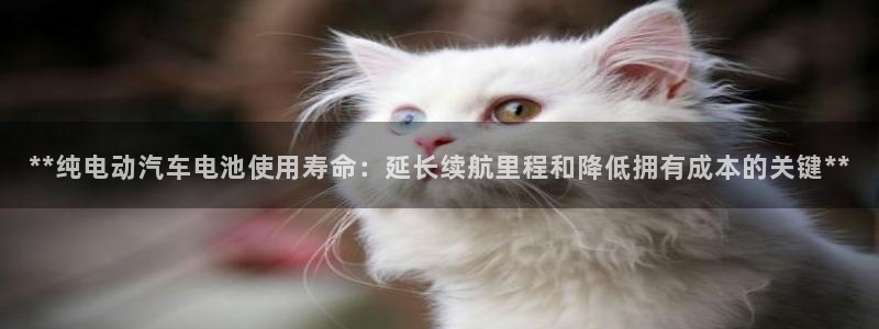 优发国际手机客户端下载