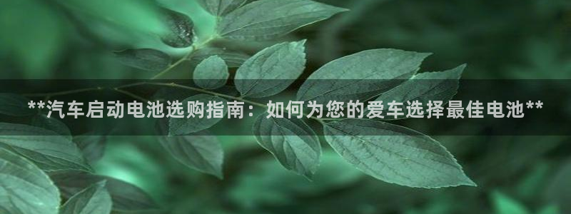 优发国际app登录不了：**汽车启动电池选购指南：如何为您的爱车选择最佳电池**