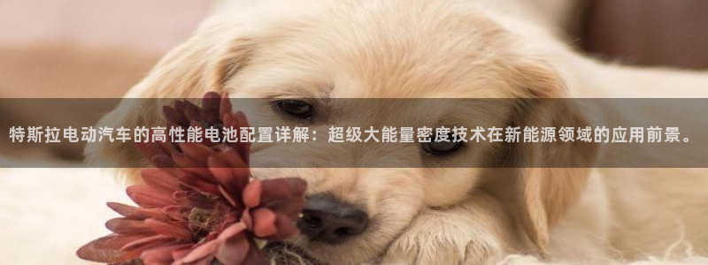 优发国际线上娱官网：特斯拉电动汽车的高性能电池配置详解：超级大能量密度技术在新能源领域的应用前景。