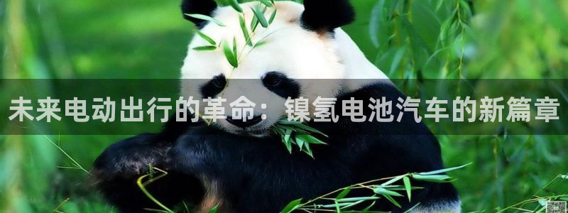优发国际游戏n：未来电动出行的革命：镍氢电池汽车的新篇章