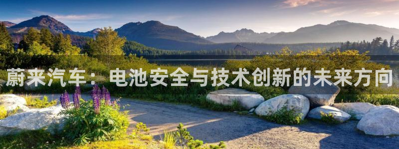 优发国际官网,首页：蔚来汽车：电池安全与技术创新的未来方向