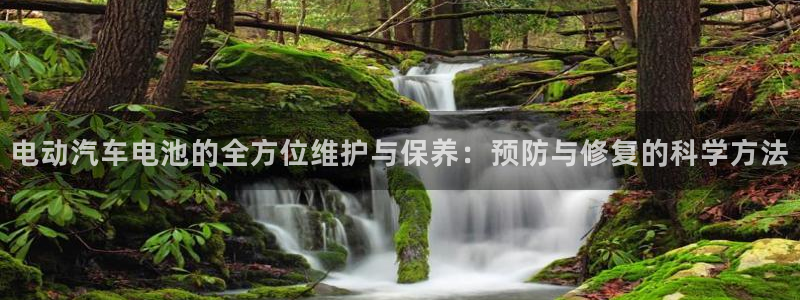 优发国际手机版官网入口