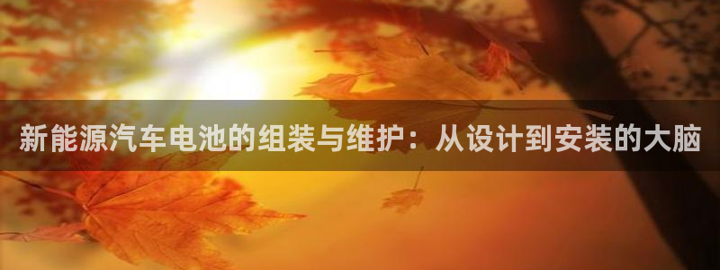 优发国际平台app下载苹果版：新能源汽车电池的组装与维护：从设计到安装的大脑