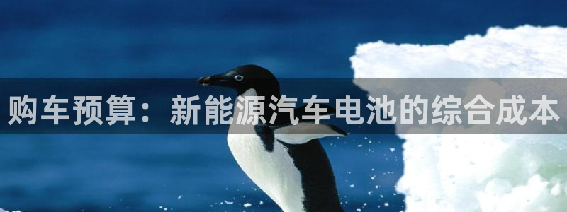 优发娱乐pt官网客户端：购车预算：新能源汽车电池的综合成本