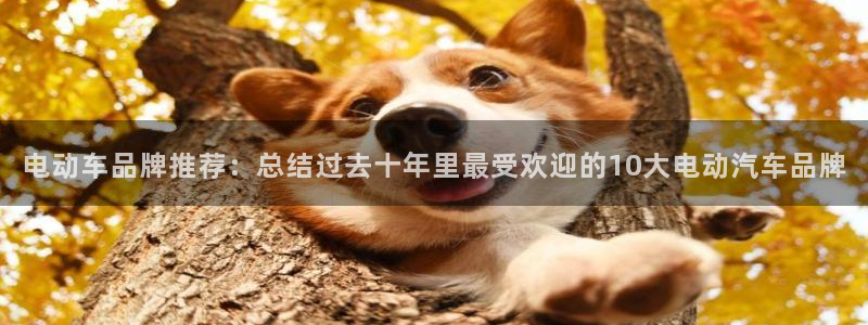 优发国际手机安装登录：电动车品牌推荐：总结过去十年里最受欢迎的10大电动汽车品牌