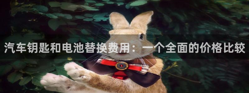 优发国际官方网平台：汽车钥匙和电池替换费用：一个全面的价格比较