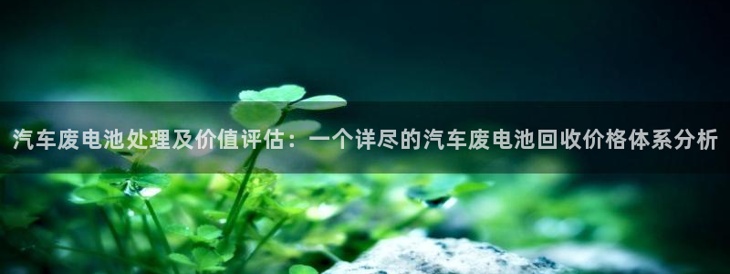优发国际登录首页：汽车废电池处理及价值评估：一个详尽的汽车废电池回收价格体系分析