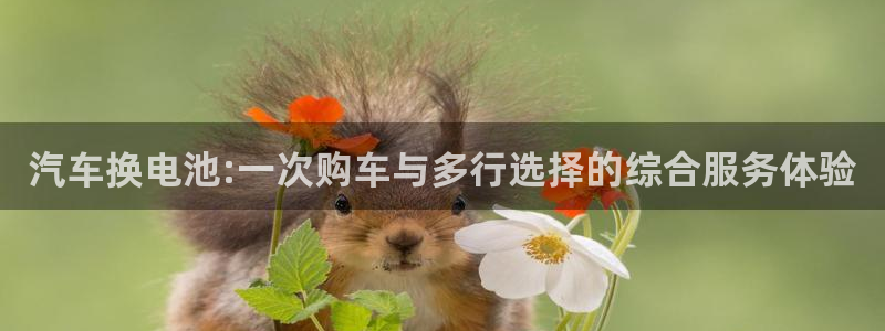 优发国际官网：汽车换电池:一次购车与多行选择的综合服务体验