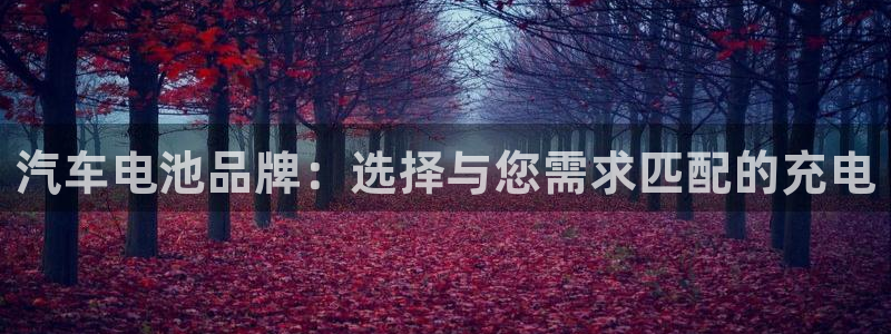 u优发国际首页：汽车电池品牌：选择与您需求匹配的充电