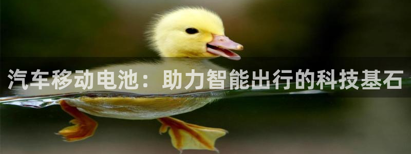 优发国际官方网手机版