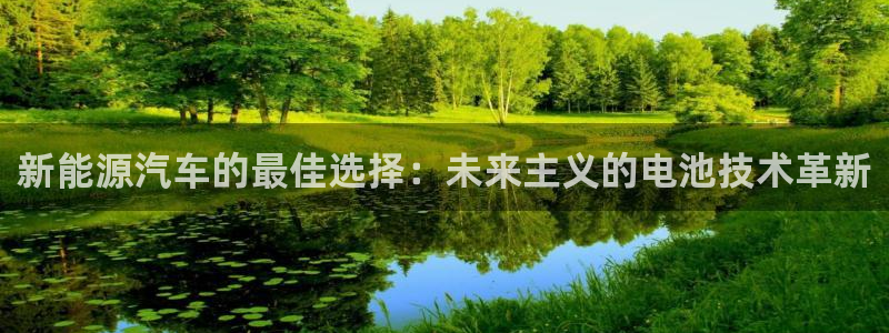 优发国际是大平台吗：新能源汽车的最佳选择：未来主义的电池技术革新