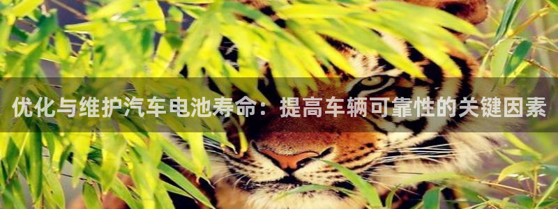优发国际官网入口app下载安装：优化与维护汽车电池寿命：提高车辆可靠性的关键因素