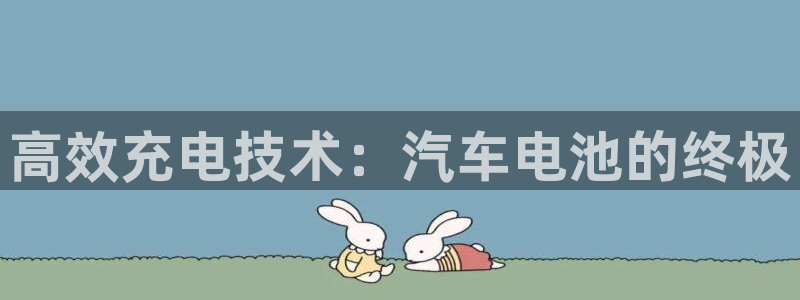 优发国际官网,首页网址：高效充电技术：汽车电池的终极