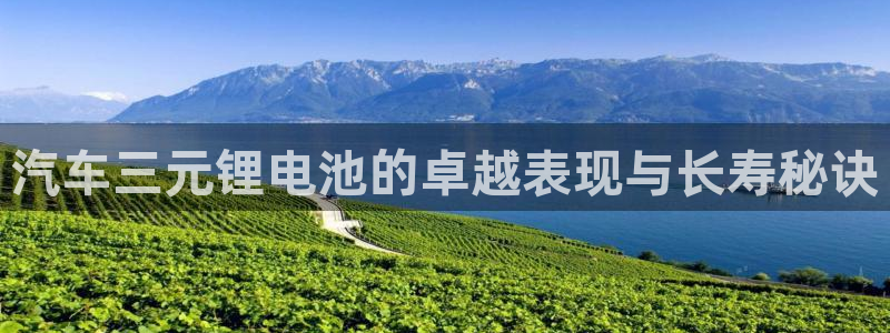 优发国际最新网站下载：汽车三元锂电池的卓越表现与长寿秘诀