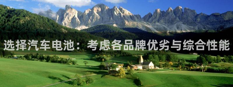 优发国际：选择汽车电池：考虑各品牌优劣与综合性能