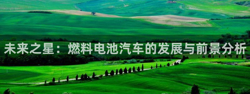 优发国际的官网是正品吗：未来之星：燃料电池汽车的发展与前景分析