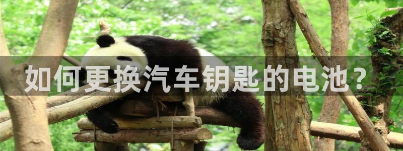 优发国际官方网平台是正品吗