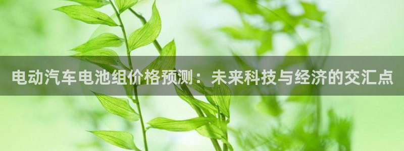 优发国际手机app下载安装：电动汽车电池组价格预测：未来科技与经济的交汇点