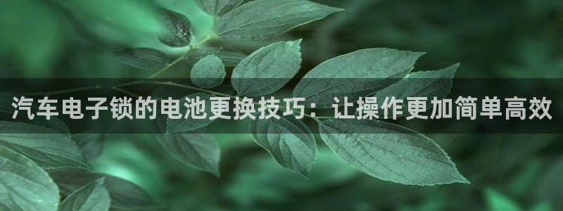 优发国际是大平台吗还是小平：汽车电子锁的电池更换技巧：让操作更加简单高效