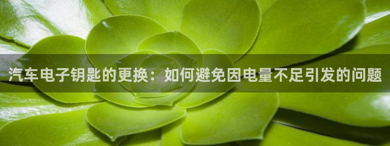 优发国际官方网手机版下载：汽车电子钥匙的