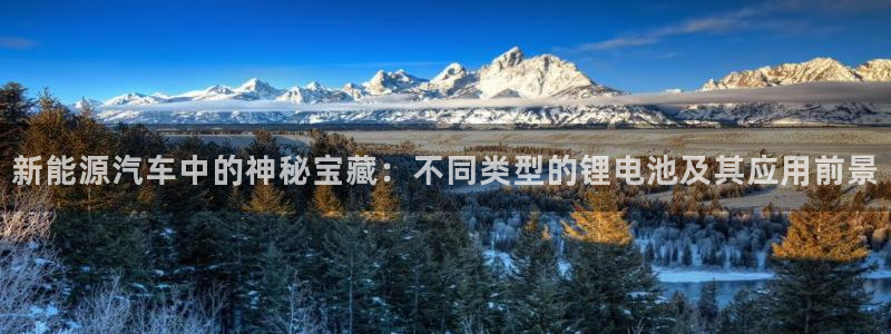 优发娱乐pt官网客户端：新能源汽车中的神