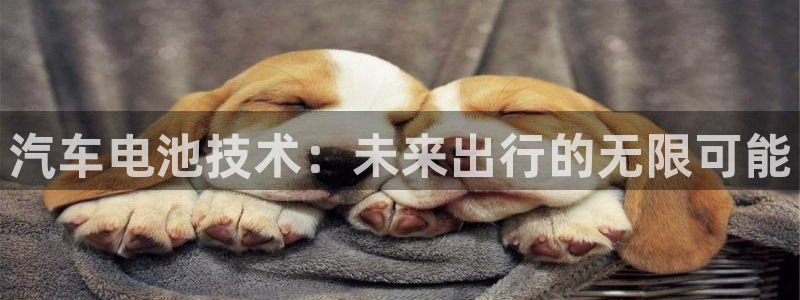 优发国际网站官网：汽车电池技术：未来出行的无限可能