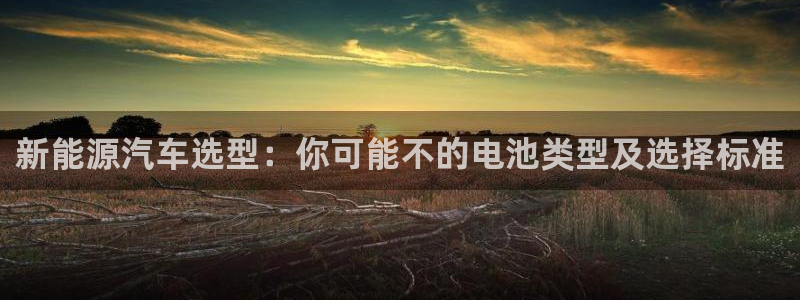 优发国际安卓版下载安装最新版：新能源汽车选型：你可能不的电池类型及选择标准