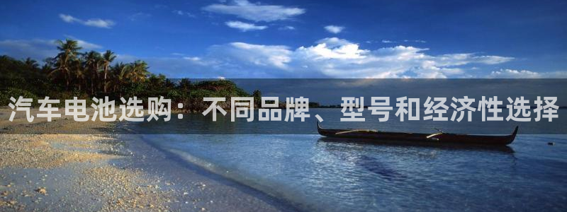 优发国际是大平台吗