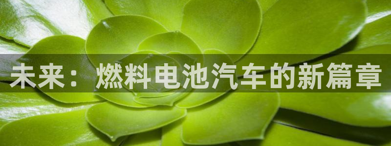 优发国际安卓版下载安装最新版：未来：燃料电池汽车的新篇章