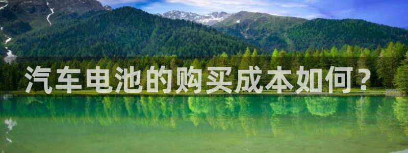 优发国际bob：汽车电池的购买成本如何？