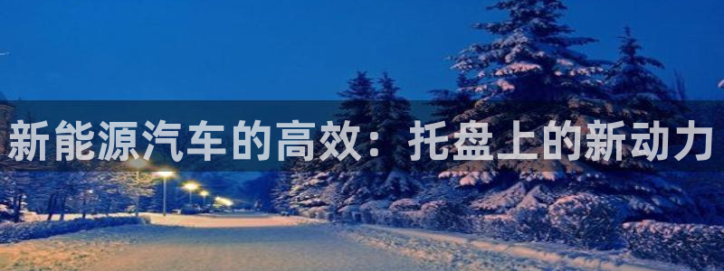 优发国际网官网17w80是什么：新能源汽车的高效：托盘上的新动力