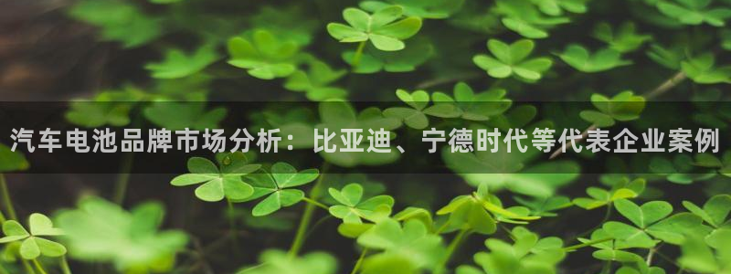 优发国际网官网17q8：汽车电池品牌市场分析：比亚迪、宁德时代等代表企业案例